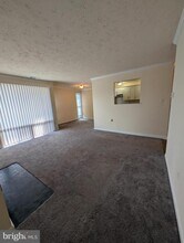 7105 Donnell Pl in Forestville, MD - Building Photo - Building Photo