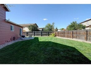 557 Sherri Dr in Loveland, CO - Building Photo - Building Photo