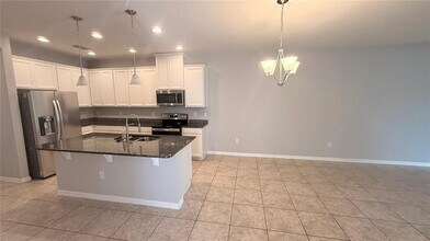 10567 Heron Hideaway Lp in Land O Lakes, FL - Building Photo - Building Photo