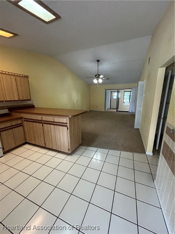 137 Blue Moon Ave in Lake Placid, FL - Building Photo - Building Photo