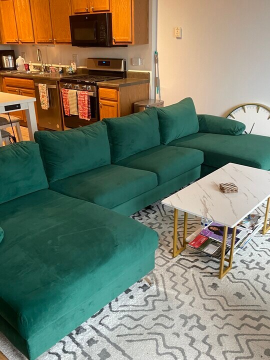 1000 E 53rd St, Unit 1000 Condo in Chicago, IL - Foto de edificio