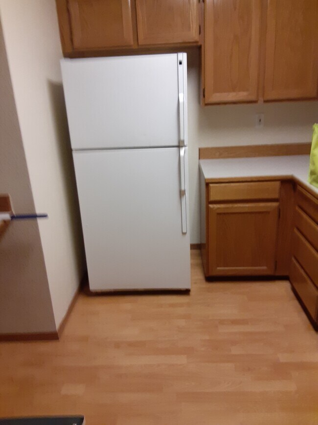 1529 N Polk Rentals in Moscow, ID