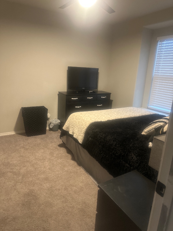 6500 Alum Rock Cove in Austin, TX - Foto de edificio - Building Photo