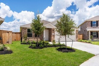 18602 Gravago Ln in New Caney, TX - Building Photo - Building Photo