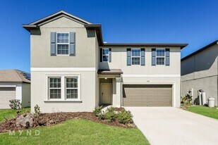 31526 Sun Kettle Lp in Wesley Chapel, FL - Building Photo