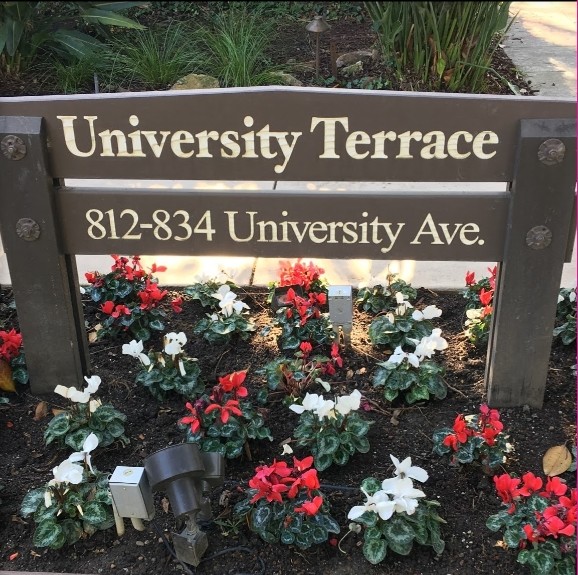 University Terrace in Palo Alto, CA - Building Photo - Building Photo