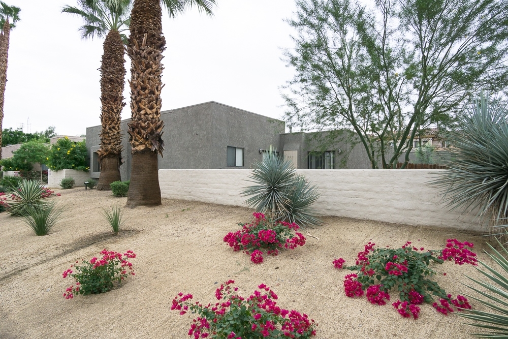 73625-73665 Fred Waring Dr in Palm Desert, CA - Building Photo