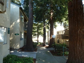 Creekside Terrace in Castro Valley, CA - Building Photo - Building Photo