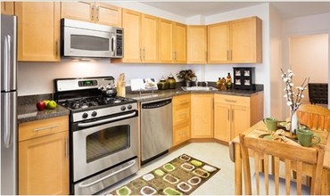 Brattle Arms Apartments in Cambridge, MA - Foto de edificio - Interior Photo