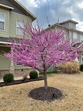 3810 W Pawnee Rd in Rogers, AR - Building Photo - Building Photo