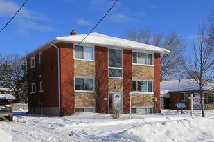 20 Olympic Dr in Kitchener, ON - Building Photo