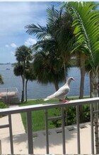 500 Bayview Dr in Sunny Isles Beach, FL - Building Photo - Building Photo