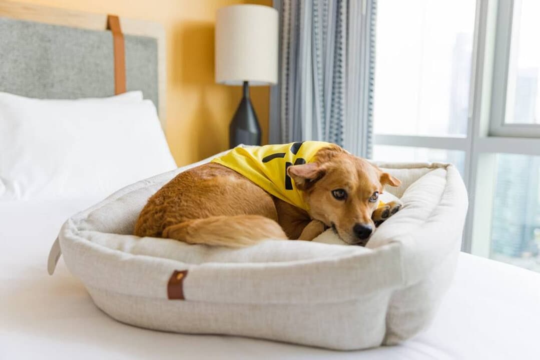 1122 Madison St in Seattle, WA - Foto de edificio