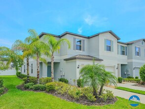 7227 Sweet Alyssum Ct in Tampa, FL - Building Photo - Building Photo