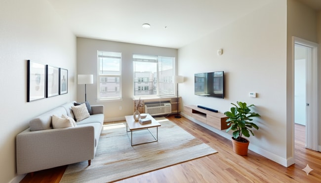 The Stella - Colorado