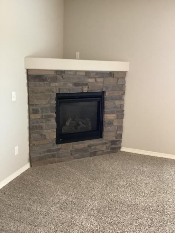 8560 Dry Needle Place in Colorado Springs, CO - Building Photo - Building Photo