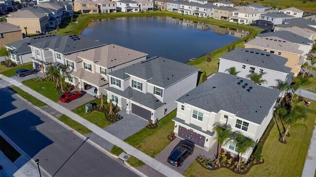 3442 Great Banyan Way in Wesley Chapel, FL - Building Photo - Building Photo