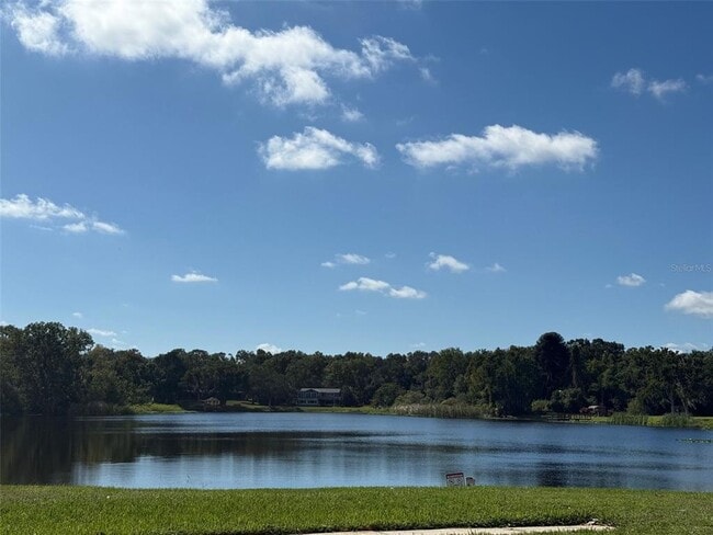 22710 Watersedge Blvd in Land O Lakes, FL - Building Photo - Building Photo