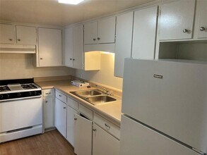 1005 W Hickory St in Denton, TX - Building Photo - Building Photo