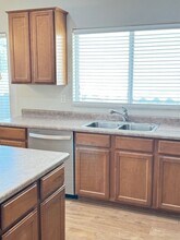 4424 E Peach Tree Dr in Chandler, AZ - Building Photo - Building Photo