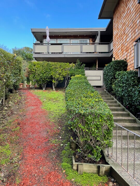36 Redwood Ave in Corte Madera, CA - Building Photo