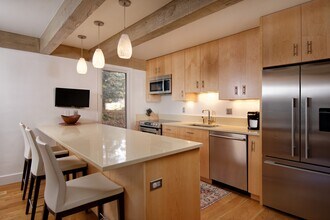 1034 E Cooper Ave in Aspen, CO - Building Photo - Building Photo