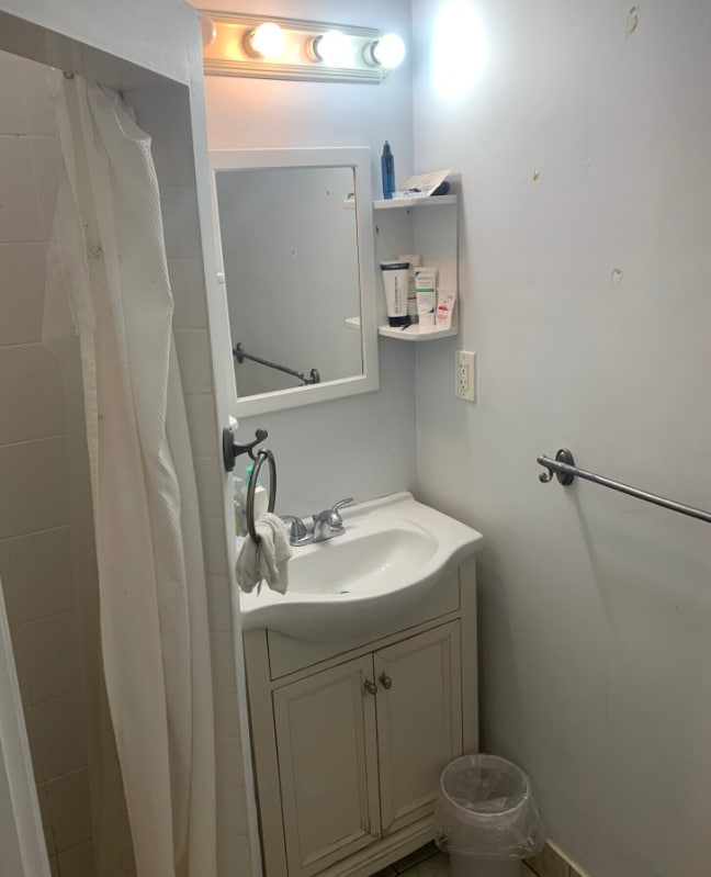 property at 209 Chestnut Hill Ave