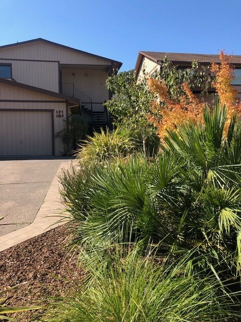 167 Clark St in San Rafael, CA - Building Photo