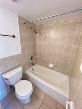 231 W 18th St in Chicago, IL - Building Photo - Building Photo