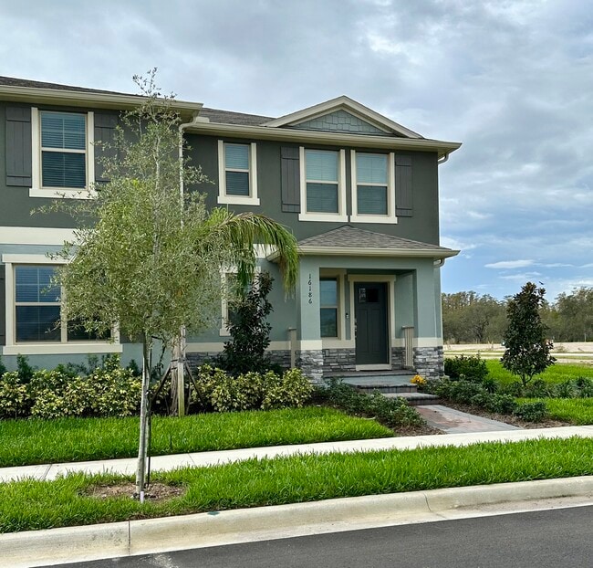 16186 Egret Pointe Wy in Winter Garden, FL - Building Photo - Building Photo