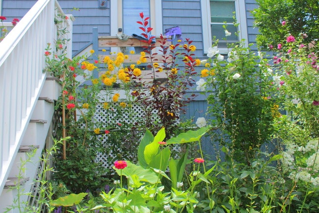 18 Berkley Rd in Hull, MA - Foto de edificio - Building Photo