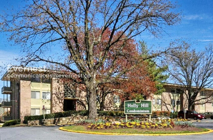 7111 Donnell Pl in Forestville, MD - Foto de edificio