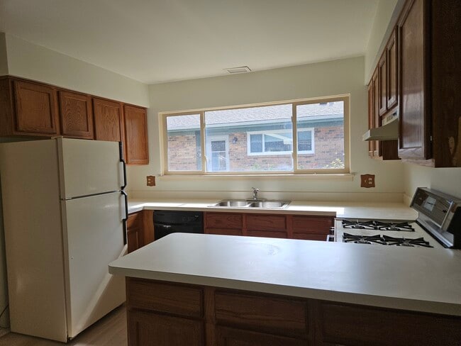 305 S Jackson St in Batavia, IL - Foto de edificio - Building Photo