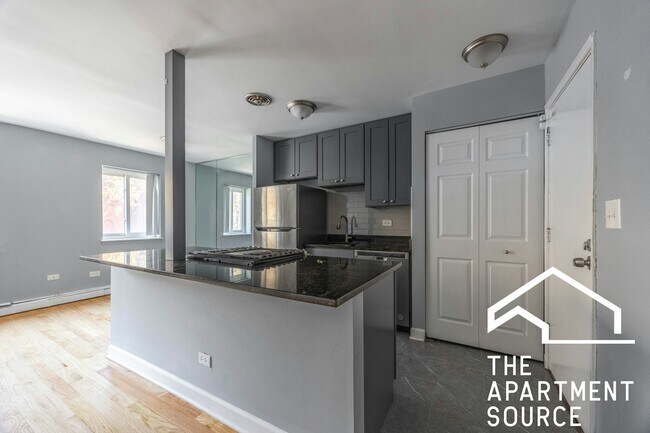 667 W Grace St in Chicago, IL - Building Photo - Building Photo