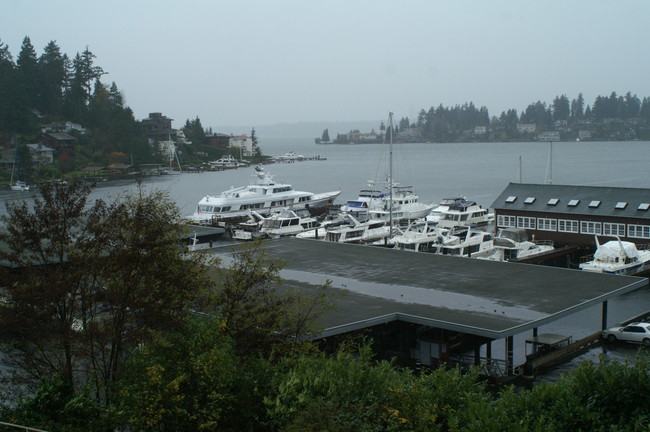 Imperial Apartments in Bellevue, WA - Foto de edificio - Building Photo