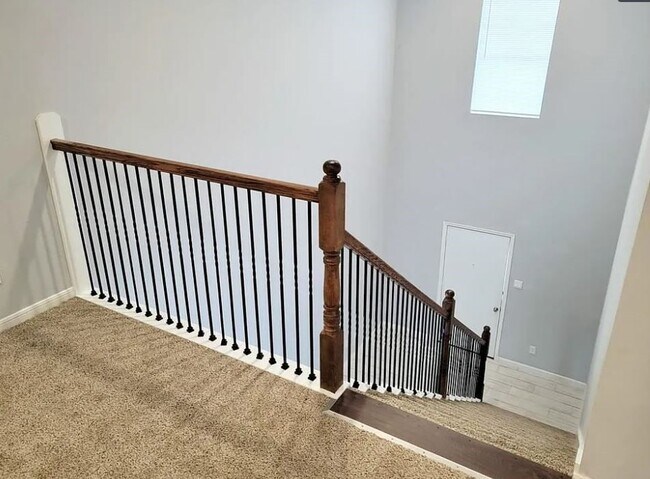 8203 Oak Knoll Ln in Houston, TX - Building Photo - Building Photo