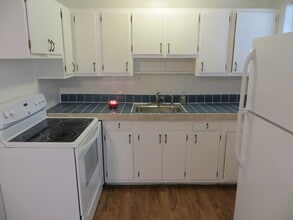 315 NW 19th Ln, Unit #4 in Gainesville, FL - Building Photo - Building Photo