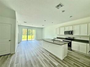11406 Velvet Apricot Dr in Land O Lakes, FL - Building Photo - Building Photo