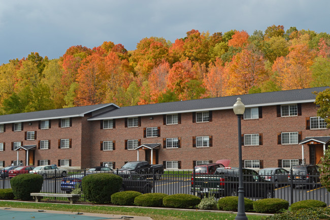 Carriage House East in Manlius, NY - Foto de edificio - Building Photo