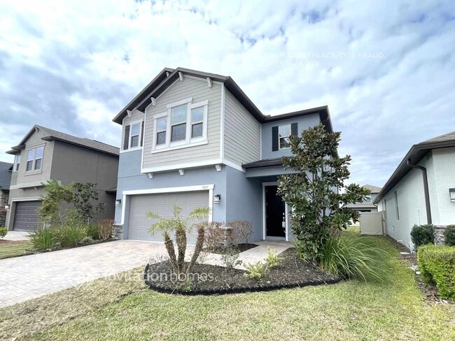 9775 Wild Begonia Loop in Land O Lakes, FL - Building Photo - Building Photo