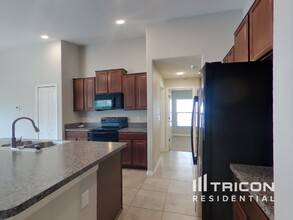 10129 Carloway Hills Dr in Wimauma, FL - Building Photo - Building Photo