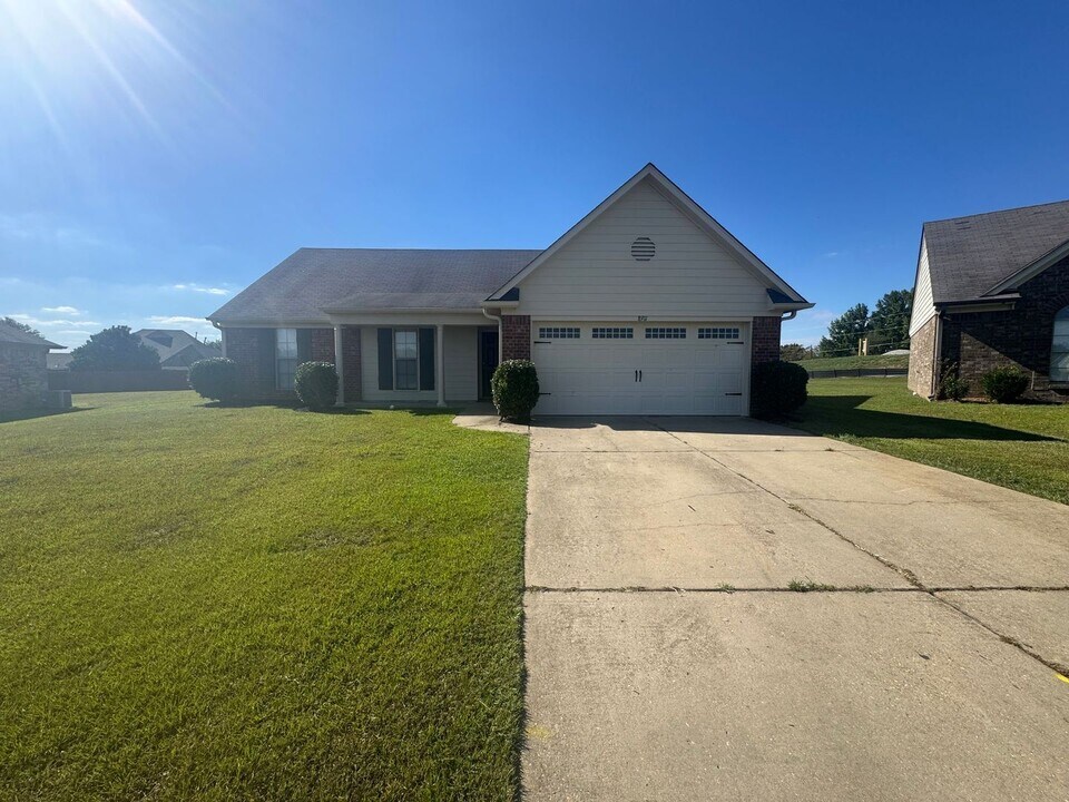 8911 Rasco Hills Cove in Southaven, MS - Building Photo