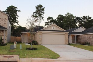 1733 Lofty Cedar Ct in Conroe, TX - Building Photo