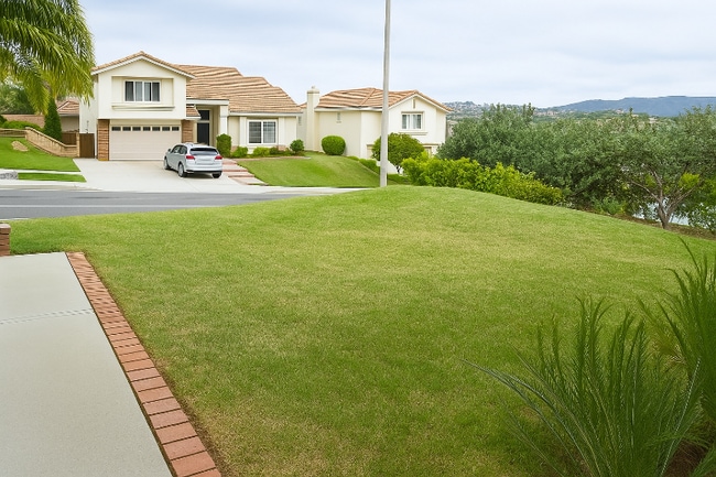 1443 Avenida La Posta in Encinitas, CA - Building Photo - Building Photo