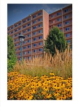 Riverview Towers and Riverview Terrace in Wausau, WI - Building Photo - Building Photo