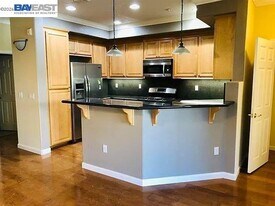 4336 Fitzwilliam St in Dublin, CA - Building Photo
