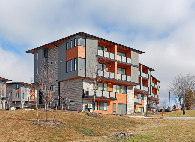 Arkell Lofts in Guelph, ON - Building Photo - Building Photo