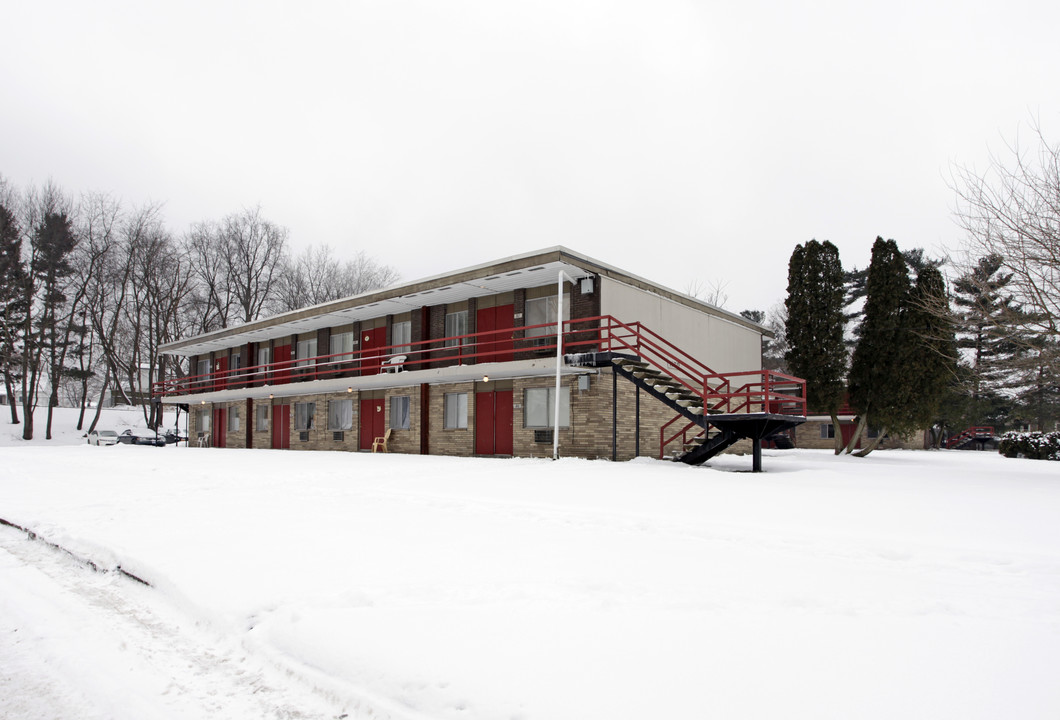 Nestor Ave Apartments in Akron, OH - Building Photo