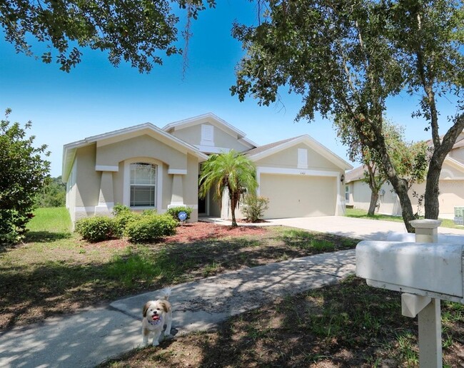 11401 Flora Springs Dr in Riverview, FL - Building Photo - Building Photo