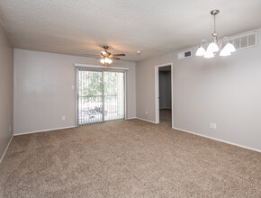 Avalon Apartments in San Antonio, TX - Building Photo - Interior Photo